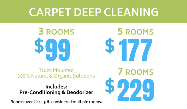 Carpet deep cleaning coupon
